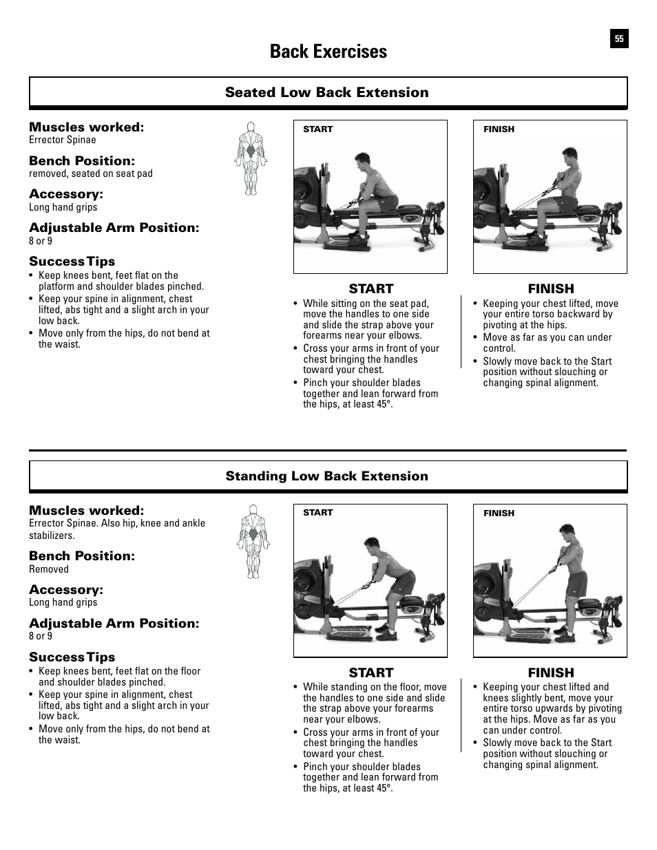 Back Exercises Seated Low Back Extension Bowflex