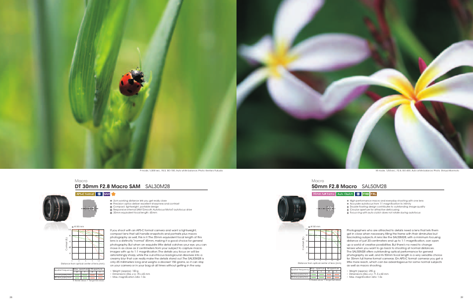 Macro | Sony a Lenses User Manual | Page 20 / 37