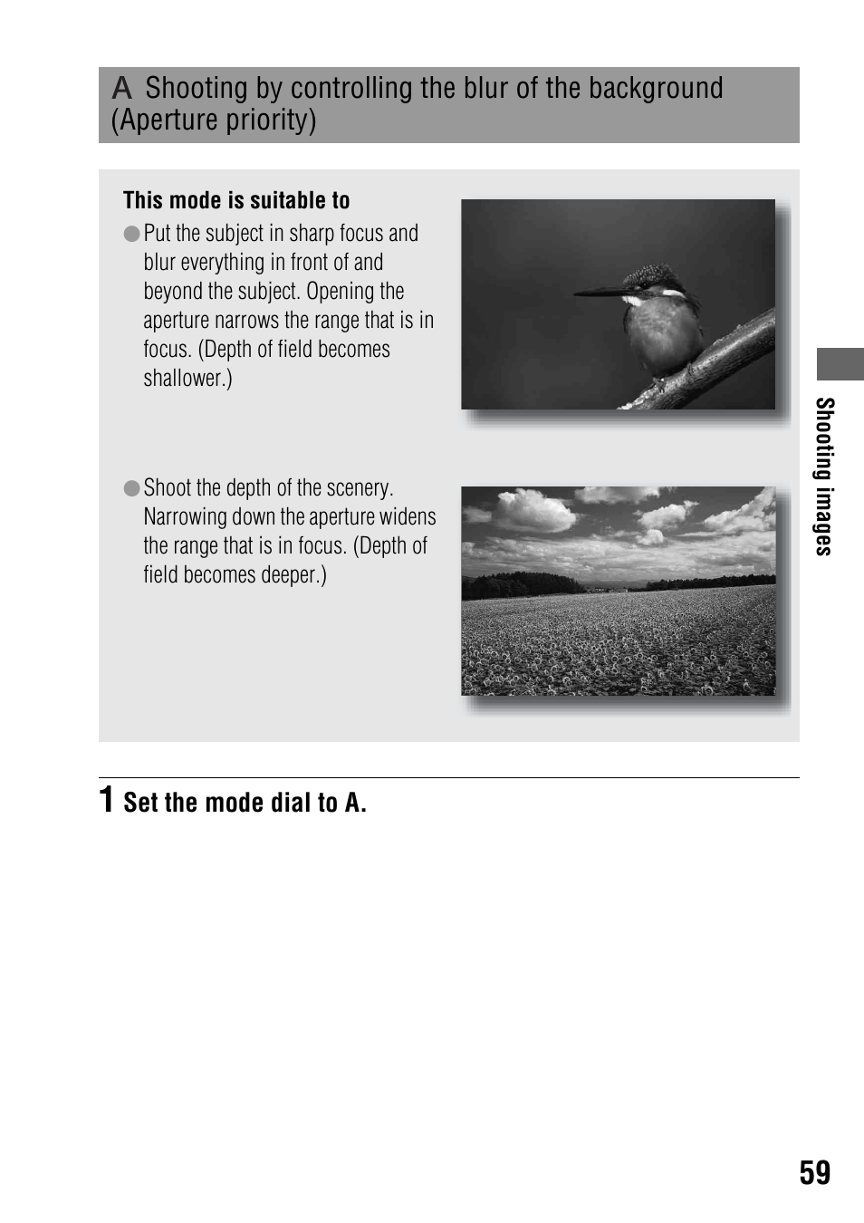 Shooting by controlling the blur of the background, Aperture priority) | Sony DSLR-A350 User Manual | Page 59 / 167