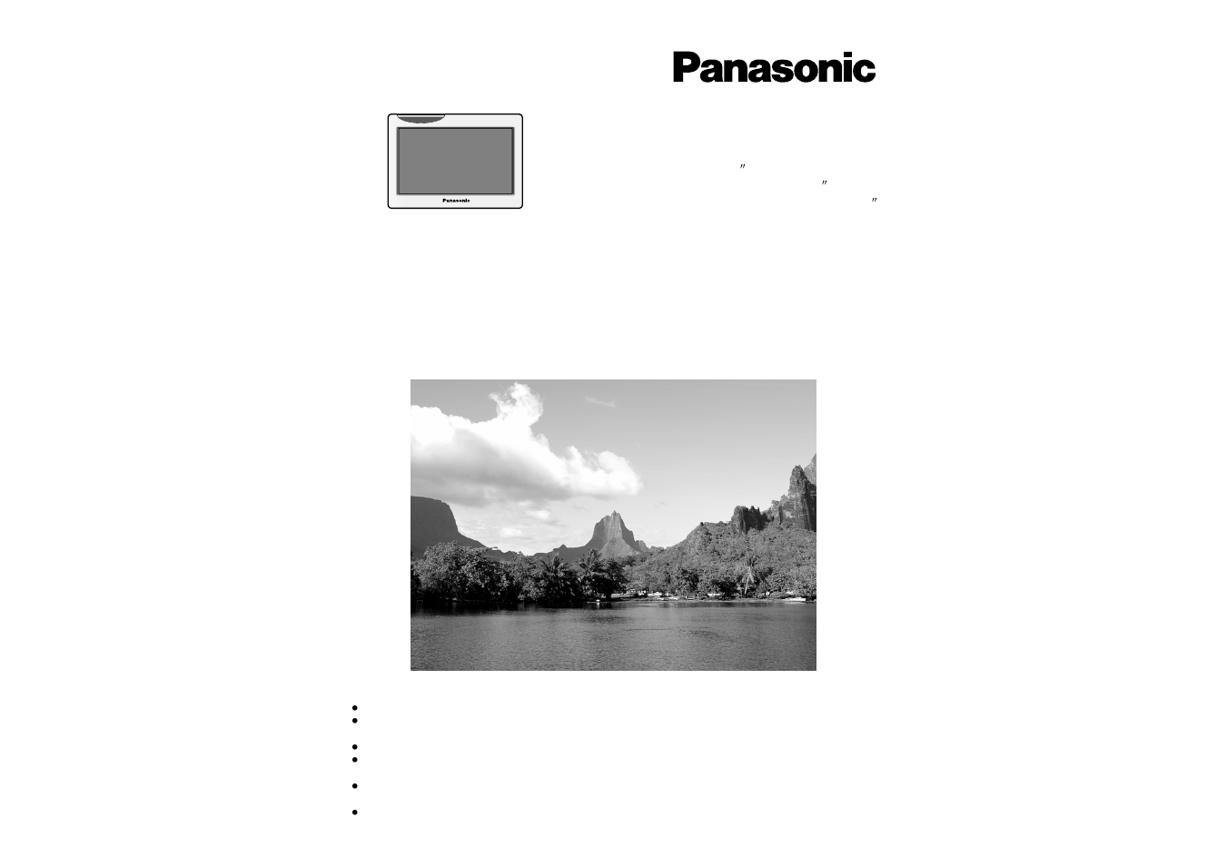 Panasonic CYVMR5800N User Manual | 12 pages
