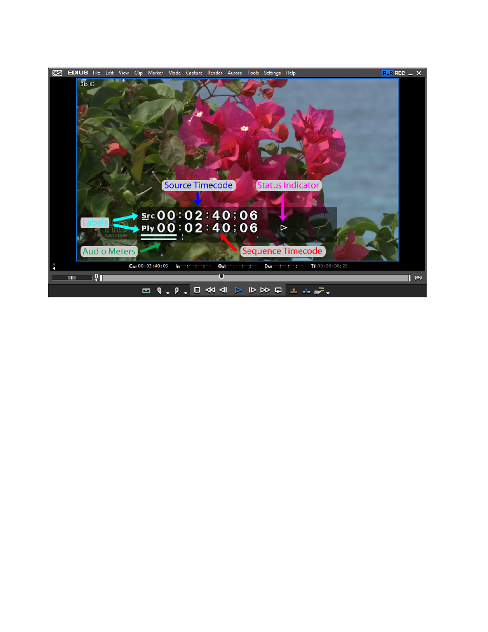 background image