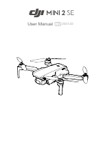 DJI Mini 2 SE Fly More Combo Drone