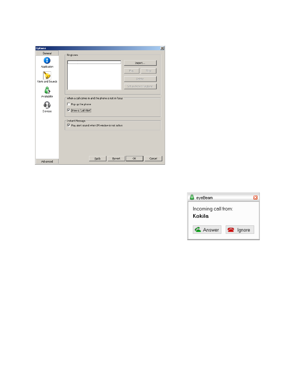 eyebeam 1.5 manual eyebeam 1.5 manual