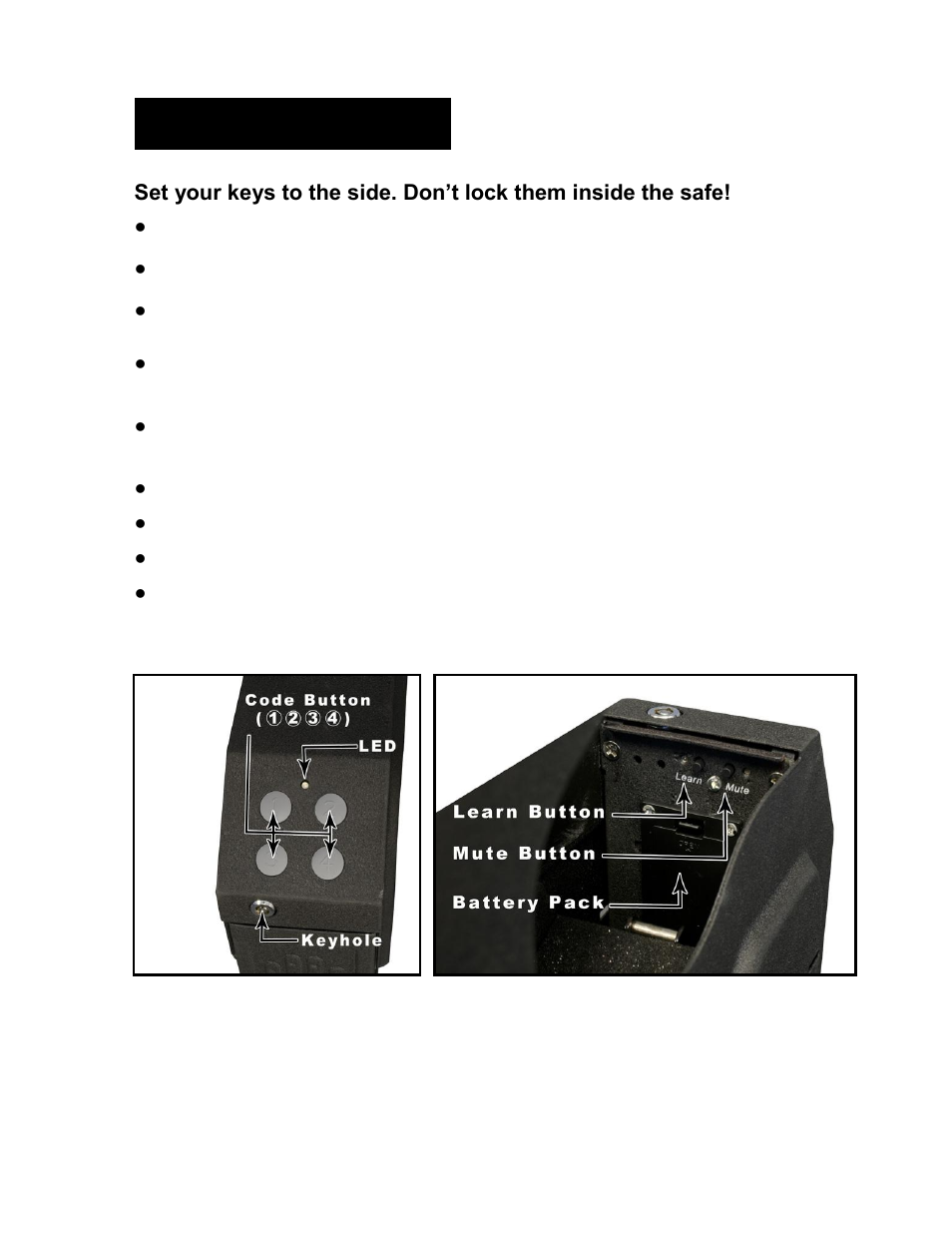 Getting started | GunVault SV 500 User Manual | Page 3 / 12 | Original mode