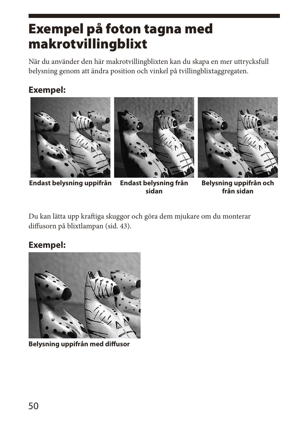 Exempel på foton tagna med makrotvillingblixt | Sony HVL-MT24AM User Manual | Page 226 / 295