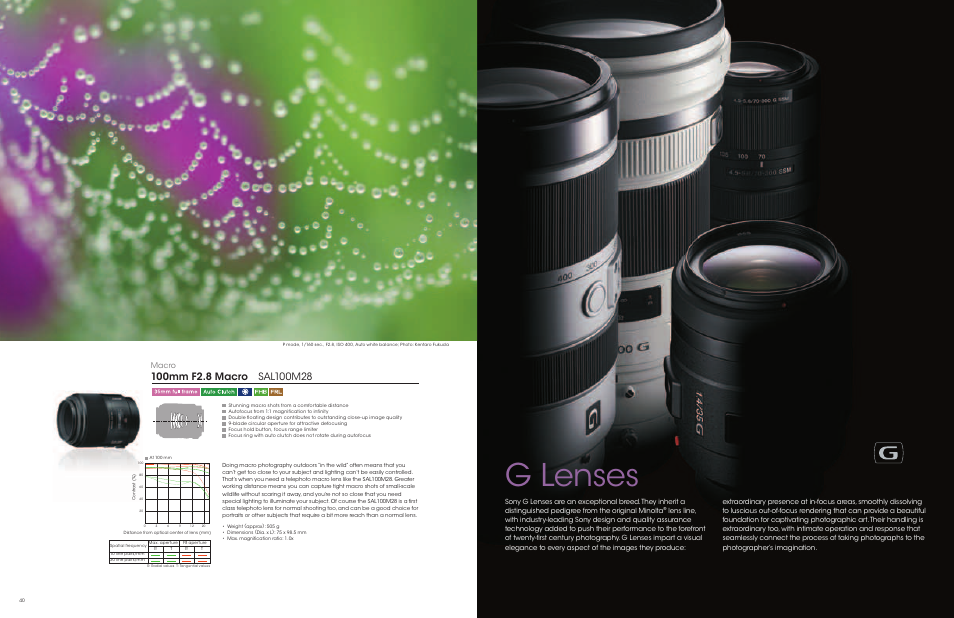 G lenses, Macro | Sony a Lenses User Manual | Page 21 / 37
