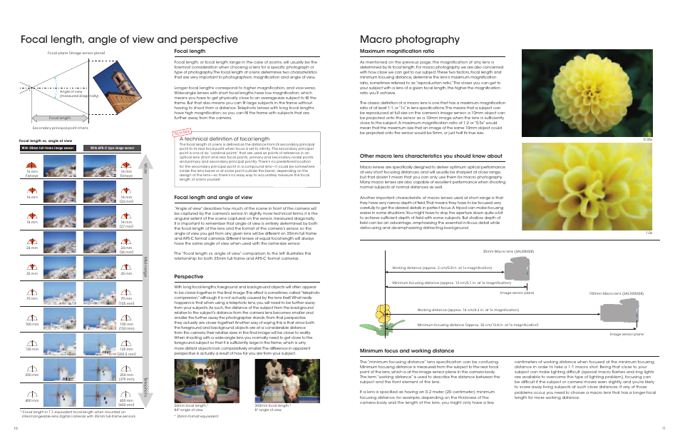 Macro photography, Focal length, angle of view and perspective, Maximum magnification ratio | Focal length, Focal length and angle of view, Perspective, Minimum focus and working distance, A technical definition of focal length | Sony a Lenses User Manual | Page 6 / 37